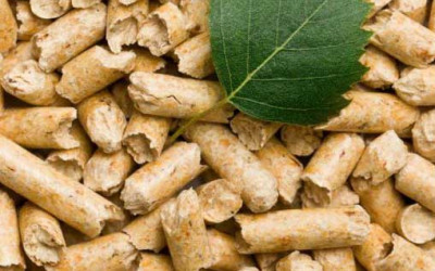 Z czego robi się pellet i jakie są rodzaje pelletu?