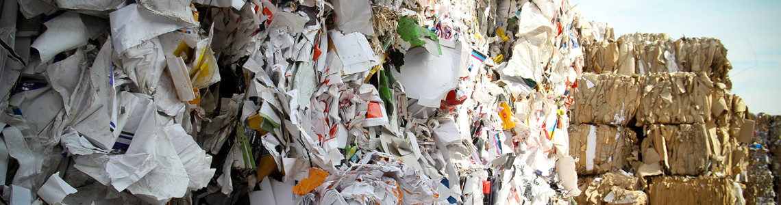Maszyny do recyklingu papieru – ekologia i ekonomia w jednym!