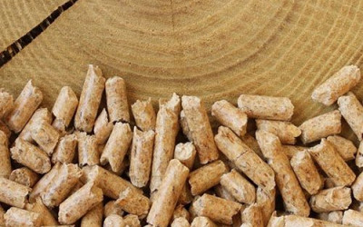 Samodzielna produkcja pelletu - prognozowanie cen pelletu w Polsce na rok 2023