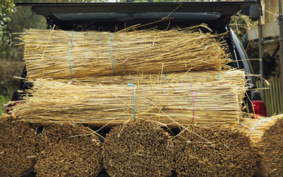 Jak wykorzystać słomę? Brykieciarki do słomy - paliwo z odpadów